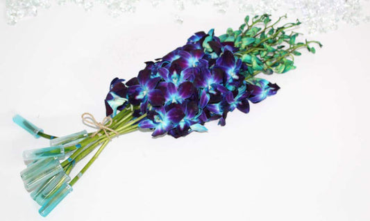 Dyed Blue Cut Dendrobium Orchids