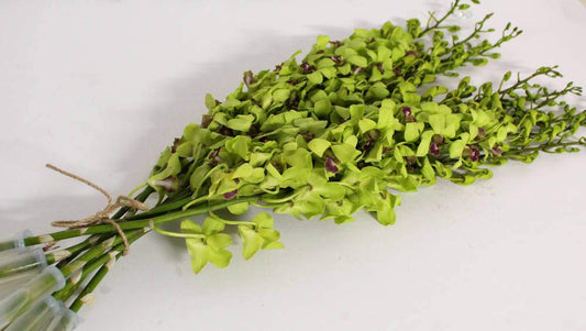 Mixed Box of Dendrobium Bunches (Purple, Green, White, and Dyed Blue)