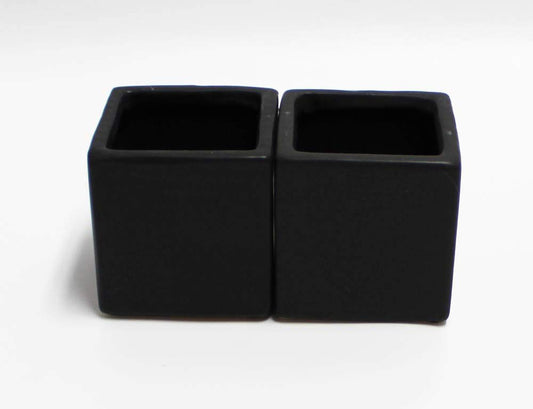 Live 2-Inch Assorted Succulent Set – Mini Potted Plants with Decorative Rocks (2, 3, or 5 Pack)