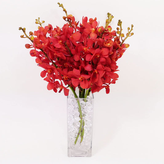 Red Mokara Cut Orchids