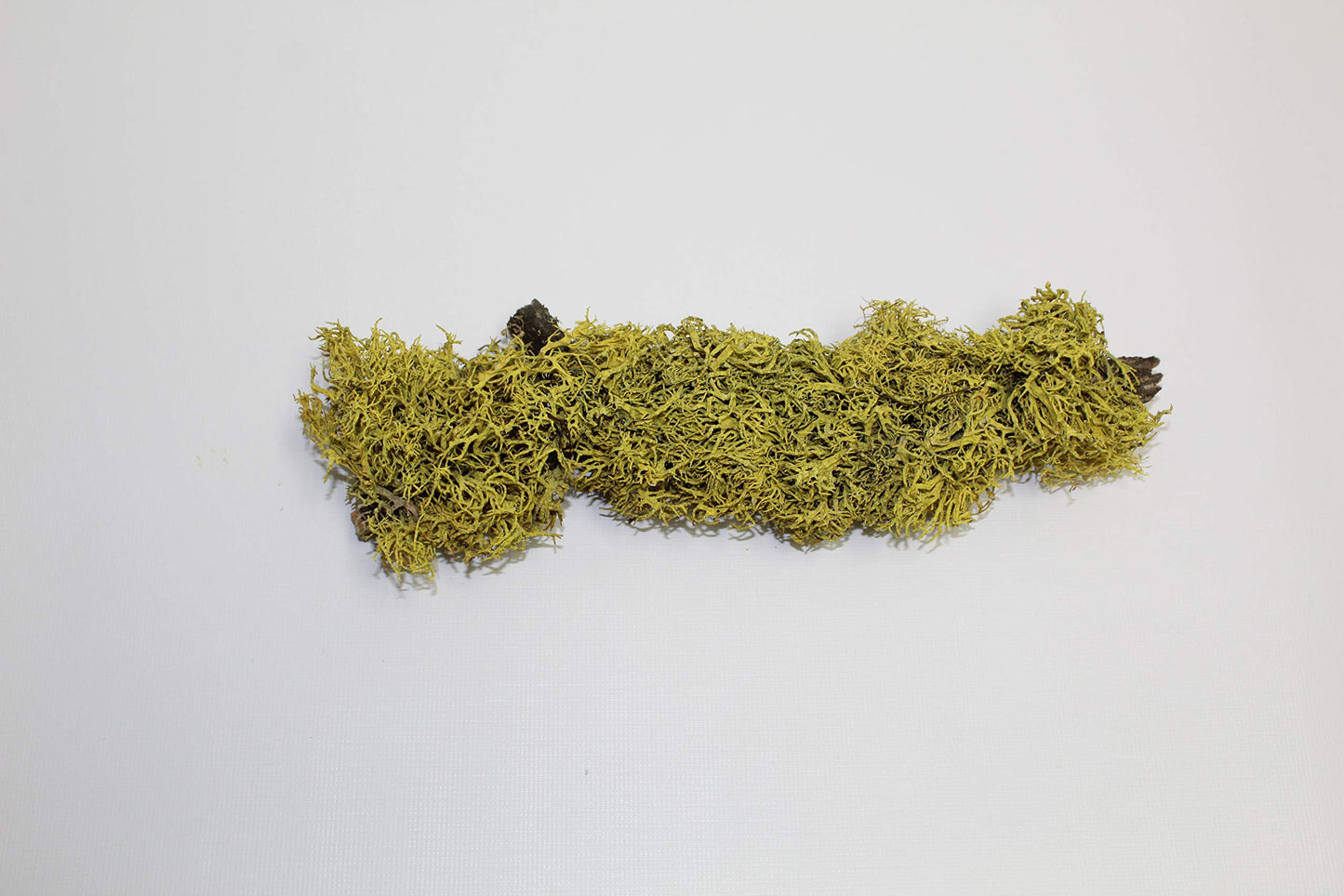 Heart-Shaped Hoya Kerrii – Live Succulent in Glass Apple Terrarium