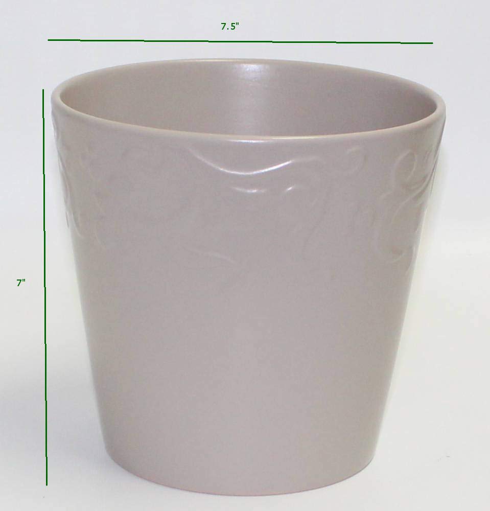 Hino-Crimson Azalea – 1 Gallon Outdoor Shrub with Vibrant Red Blooms