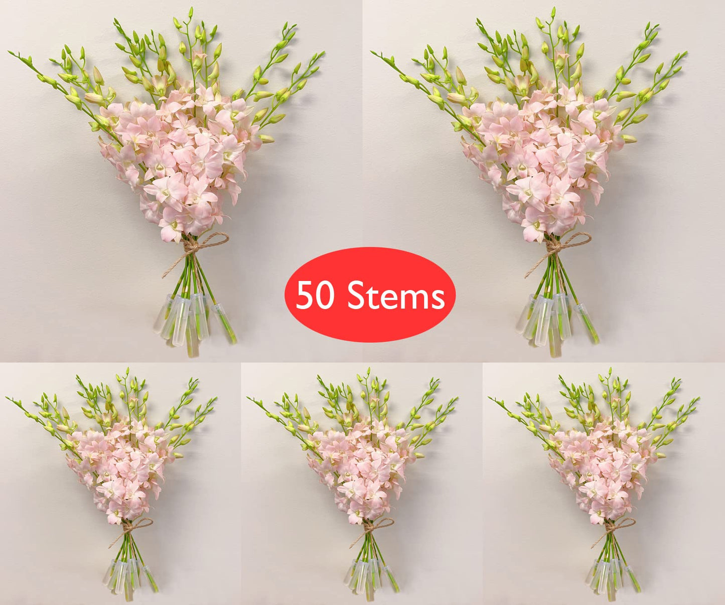 Jinda Sweet (Peachy Pink) Cut Dendrobium Orchids