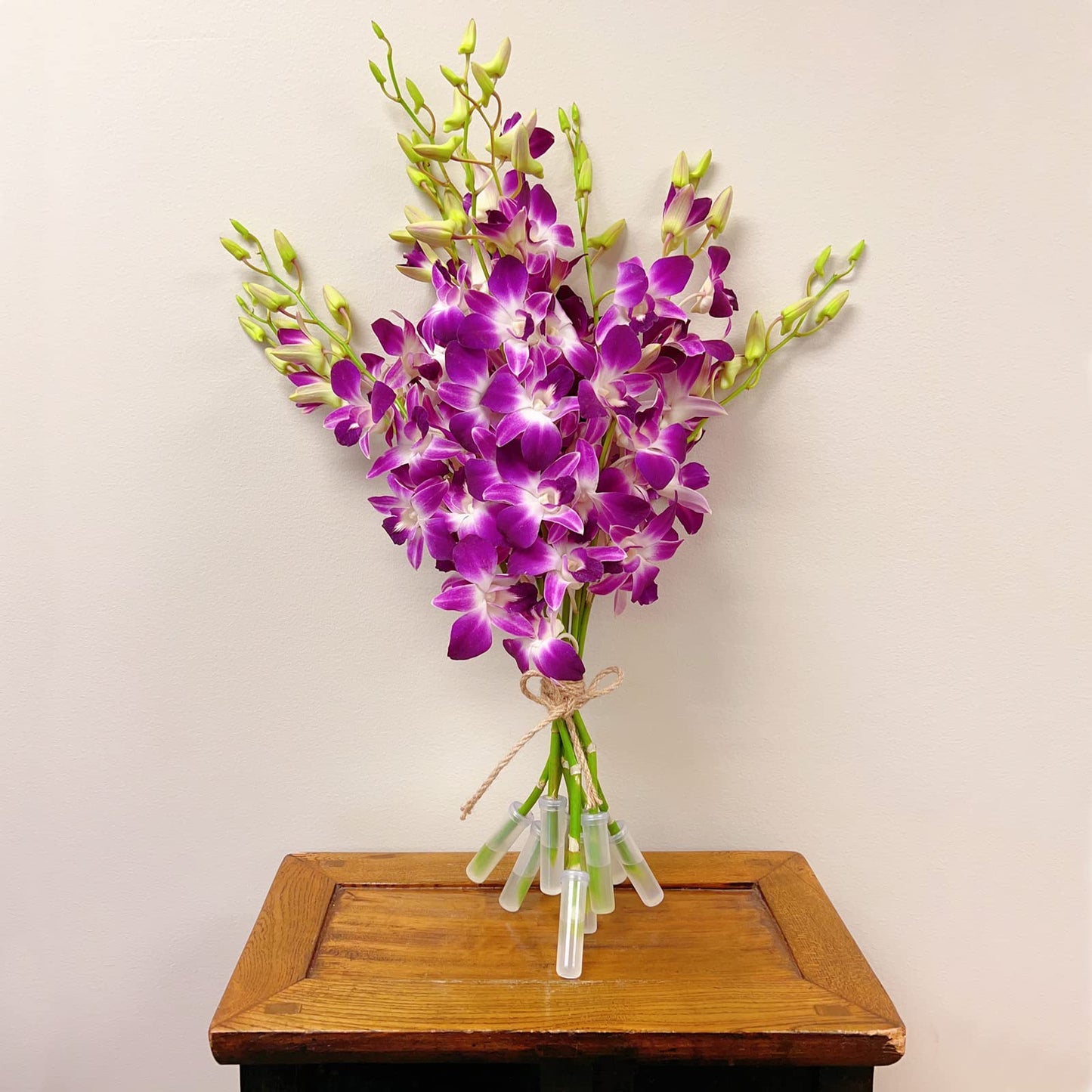Sonia Cut Dendrobium Orchids