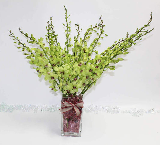Jade Green Cut Dendrobium Orchids