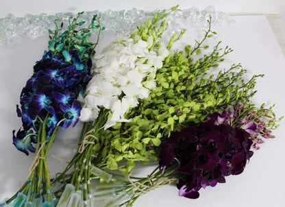Mixed Box of Dendrobium Bunches (Purple, Green, White, and Dyed Blue)