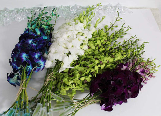 Mixed Box of Dendrobium Bunches (Purple, Green, White, and Dyed Blue)