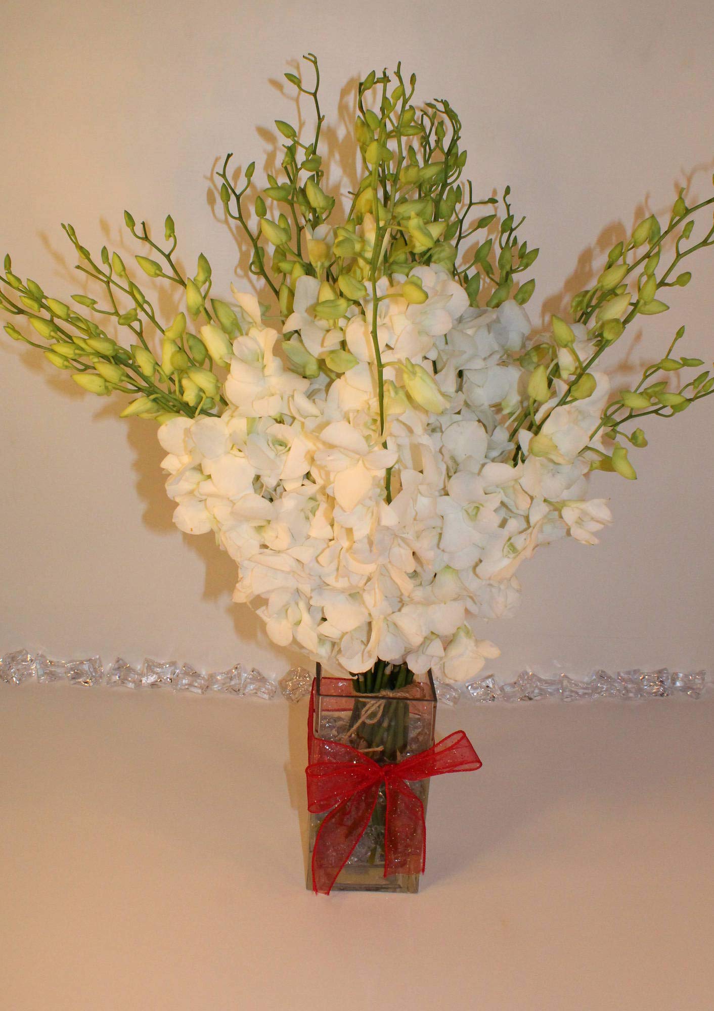 White Cut Dendrobium Orchids