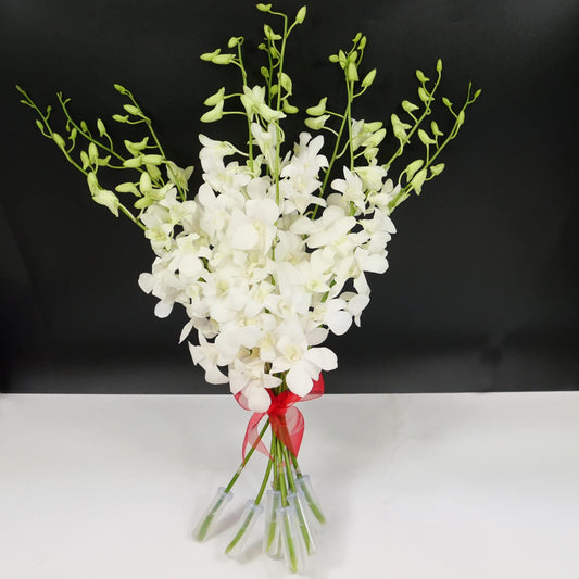 White Cut Dendrobium Orchids