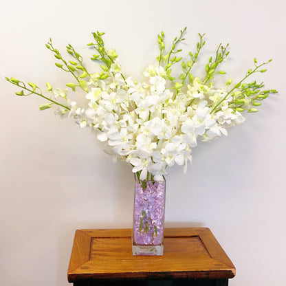 White Cut Dendrobium Orchids
