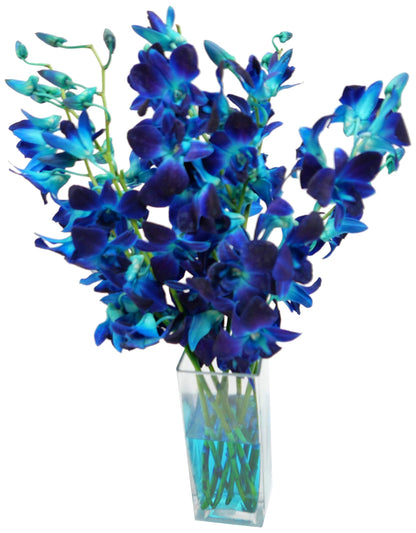Dyed Blue Cut Dendrobium Orchids