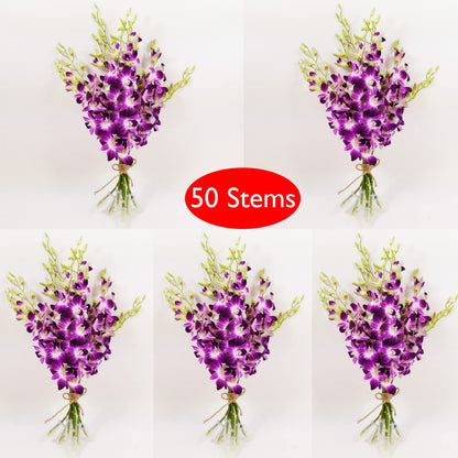 Sonia Cut Dendrobium Orchids