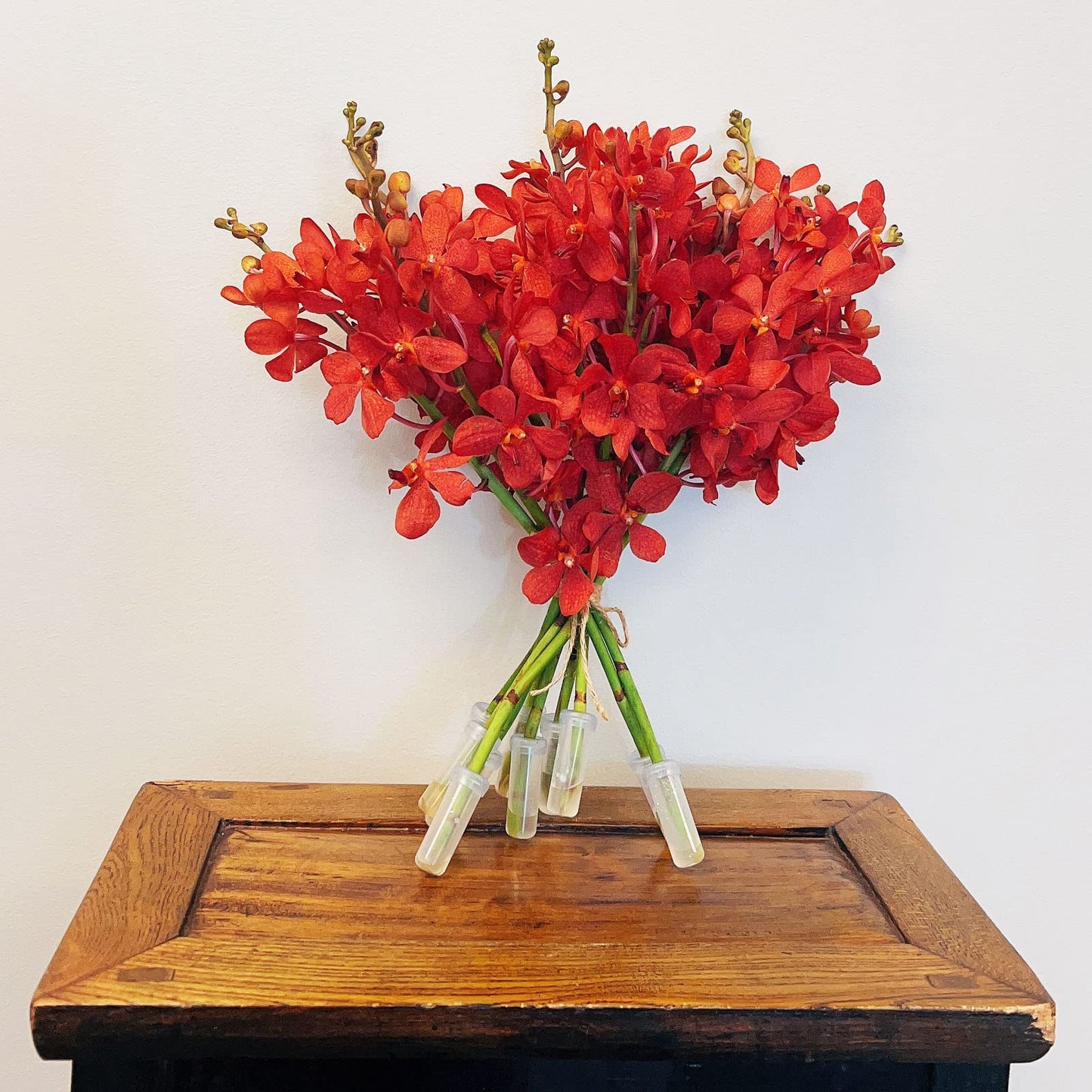 Red Mokara Cut Orchids