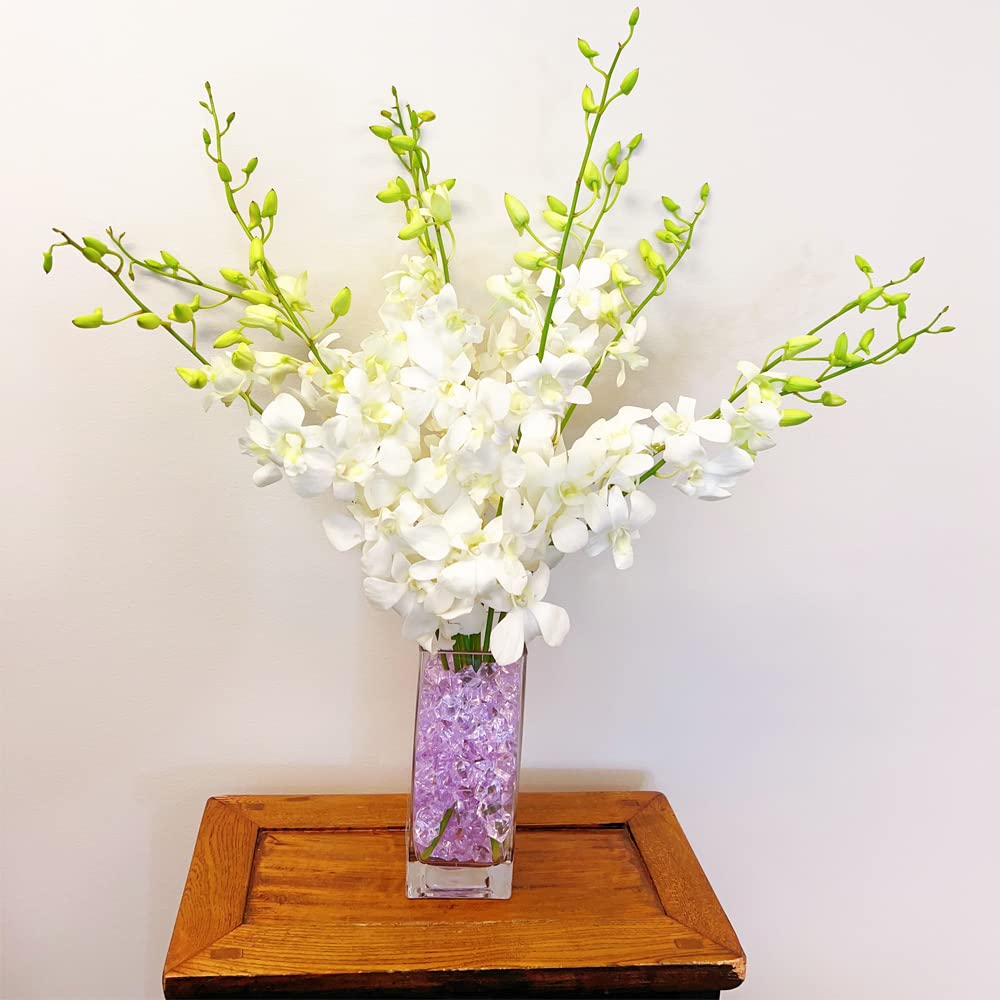 White Cut Dendrobium Orchids