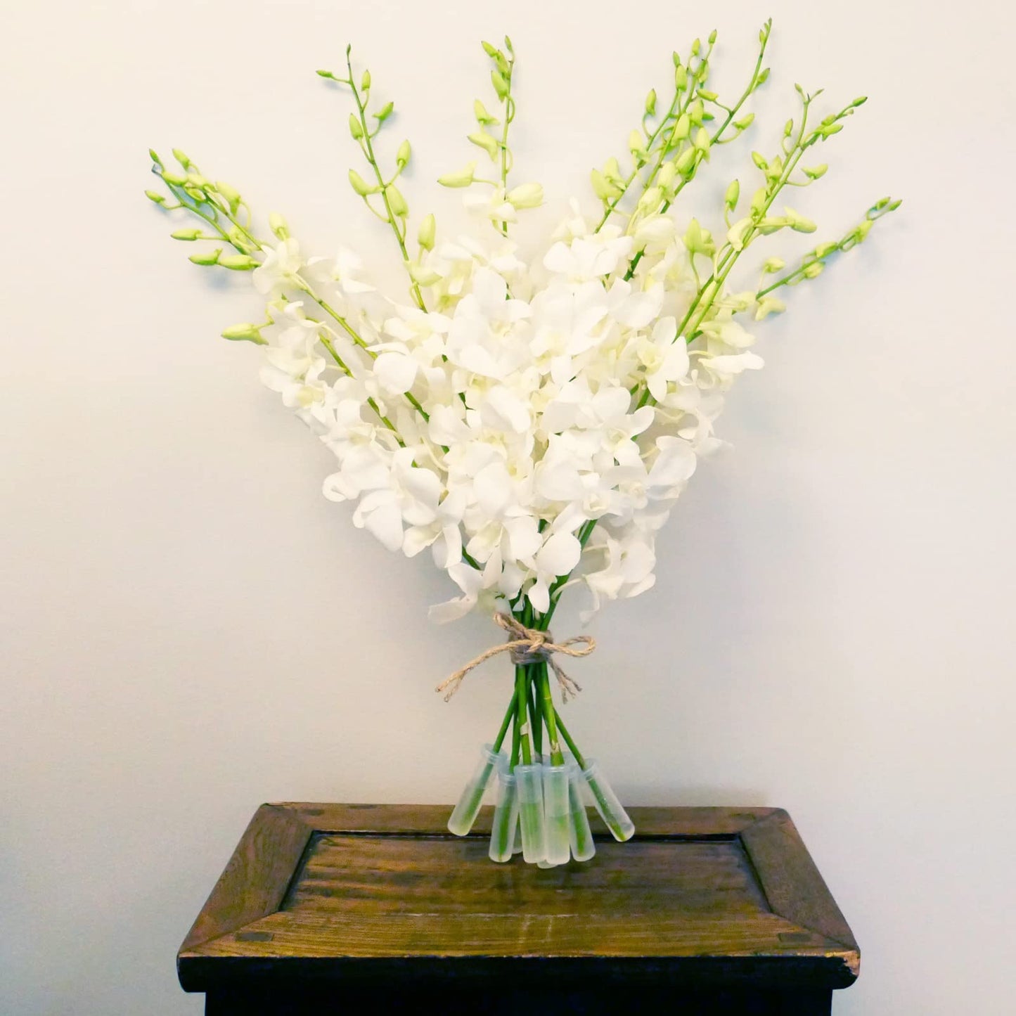White Cut Dendrobium Orchids