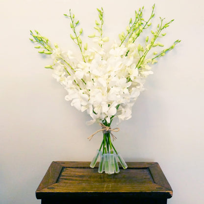 White Cut Dendrobium Orchids