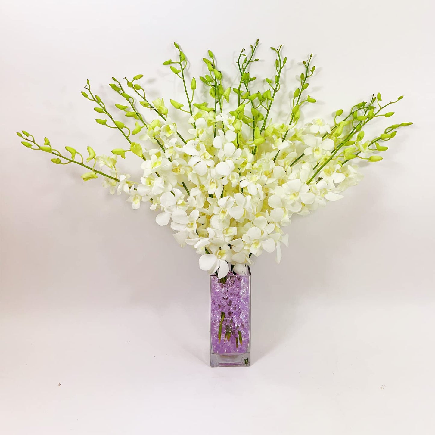 White Cut Dendrobium Orchids