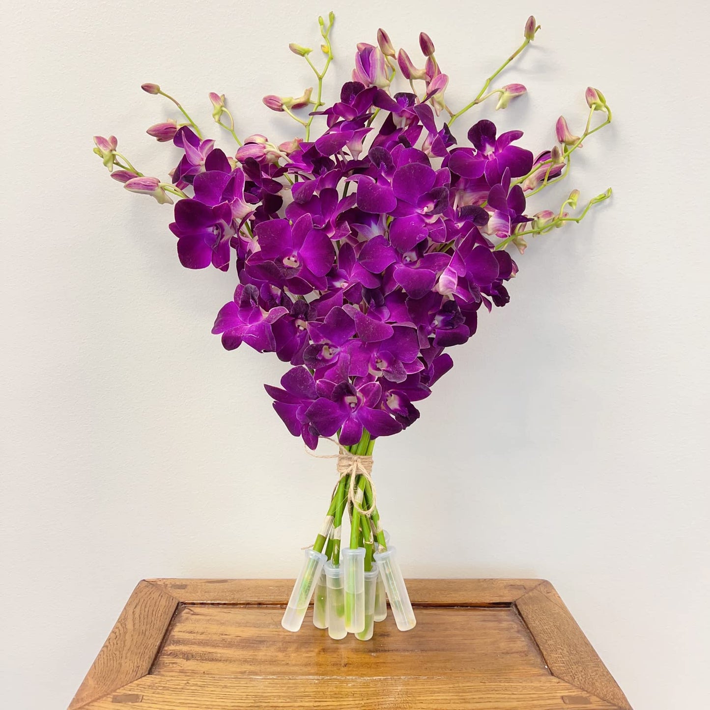 Purple Cut Dendrobium Orchids