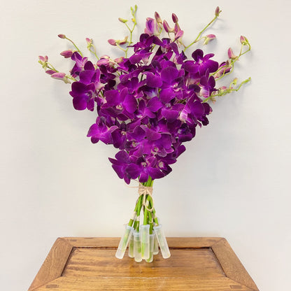 Purple Cut Dendrobium Orchids