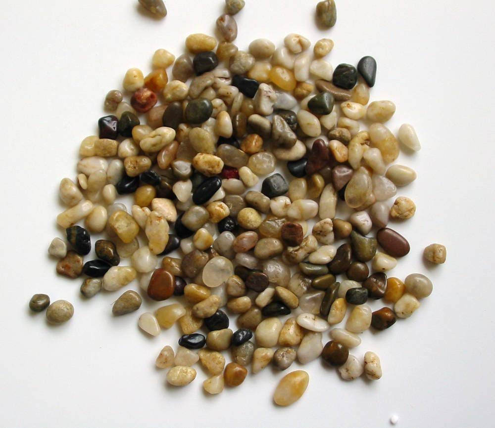 Three 12-Inch Lucky Bamboo Arrangement – Live Feng Shui Plant in Handmade Ceramic Pot with Polished Stones