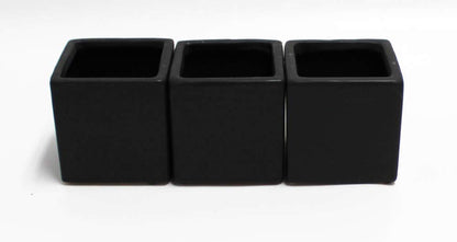 Live 2-Inch Assorted Succulent Set – Mini Potted Plants with Decorative Rocks (2, 3, or 5 Pack)