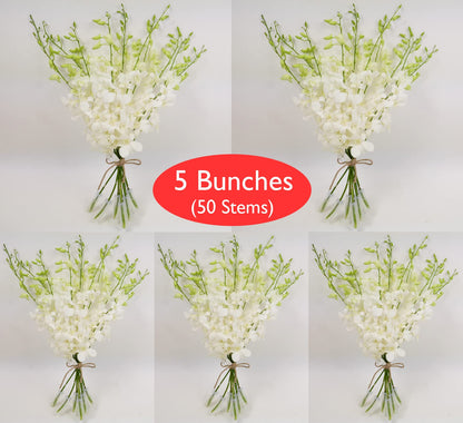 White Cut Dendrobium Orchids