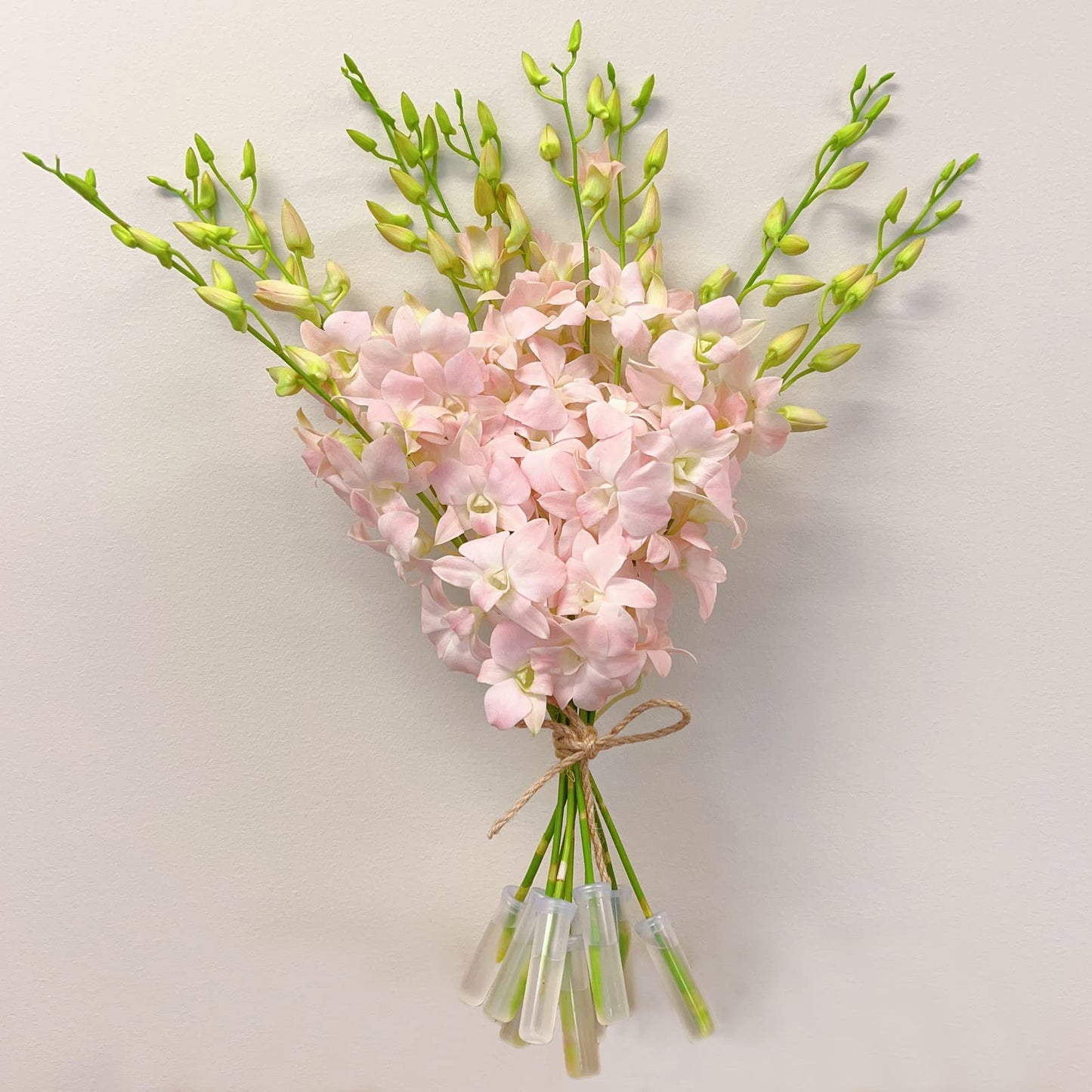 Jinda Sweet (Peachy Pink) Cut Dendrobium Orchids