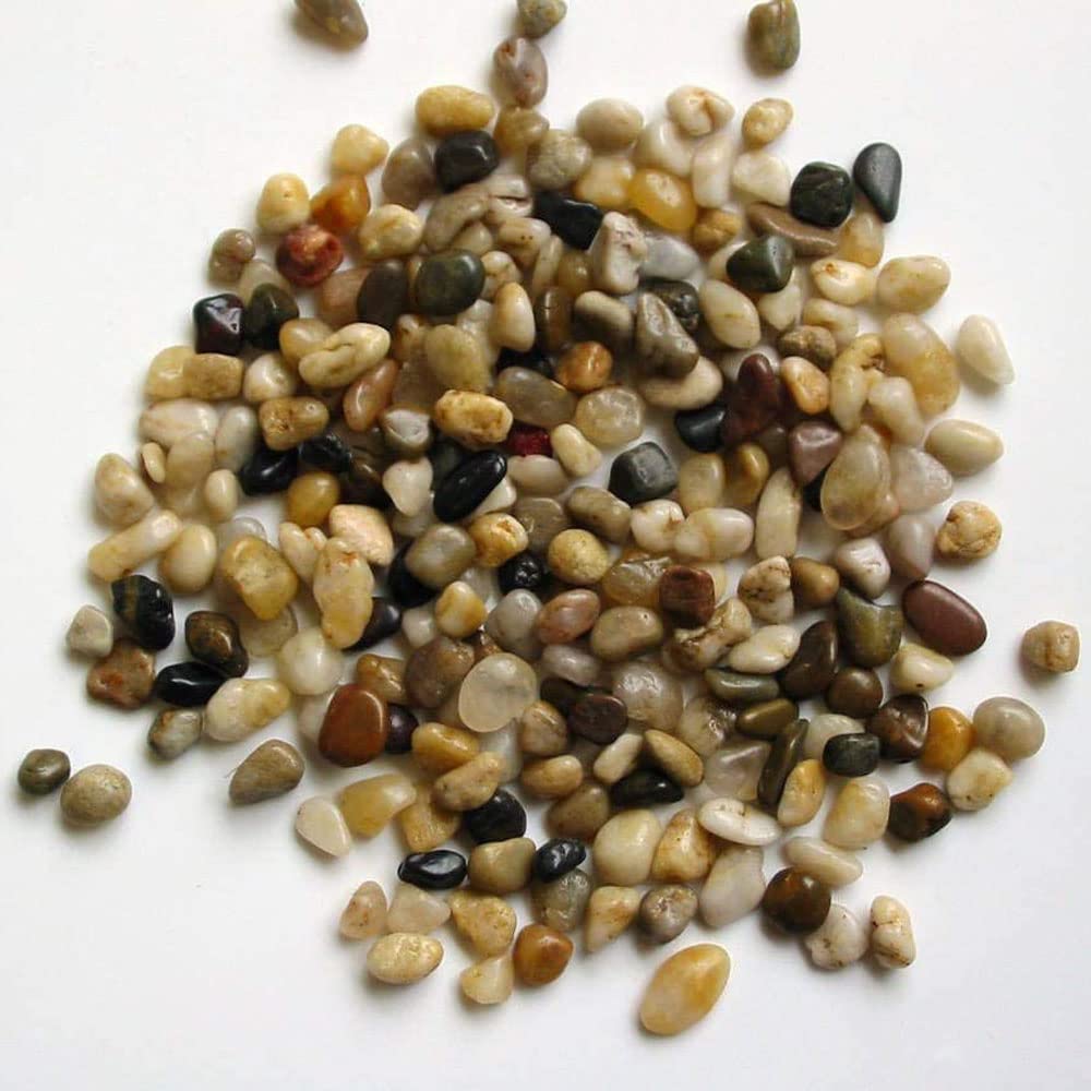 Classic 3-Tier Lucky Bamboo Tower – Live Plant in Black Ceramic Pot