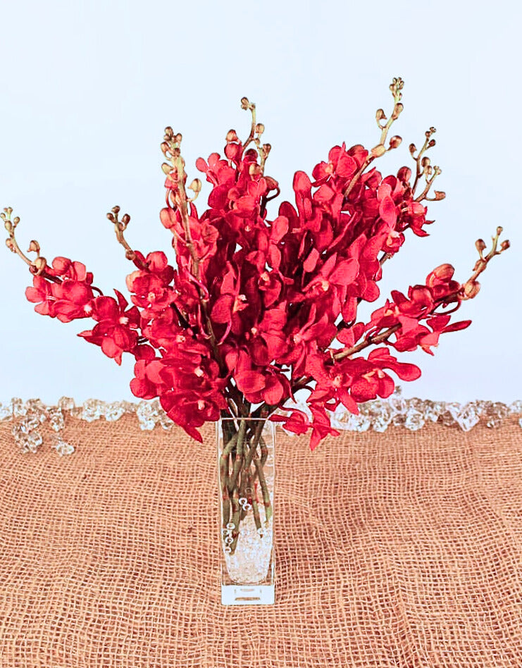 Deep Red Mokara Cut Orchids
