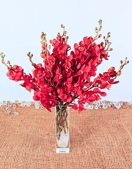Deep Red Mokara Cut Orchids
