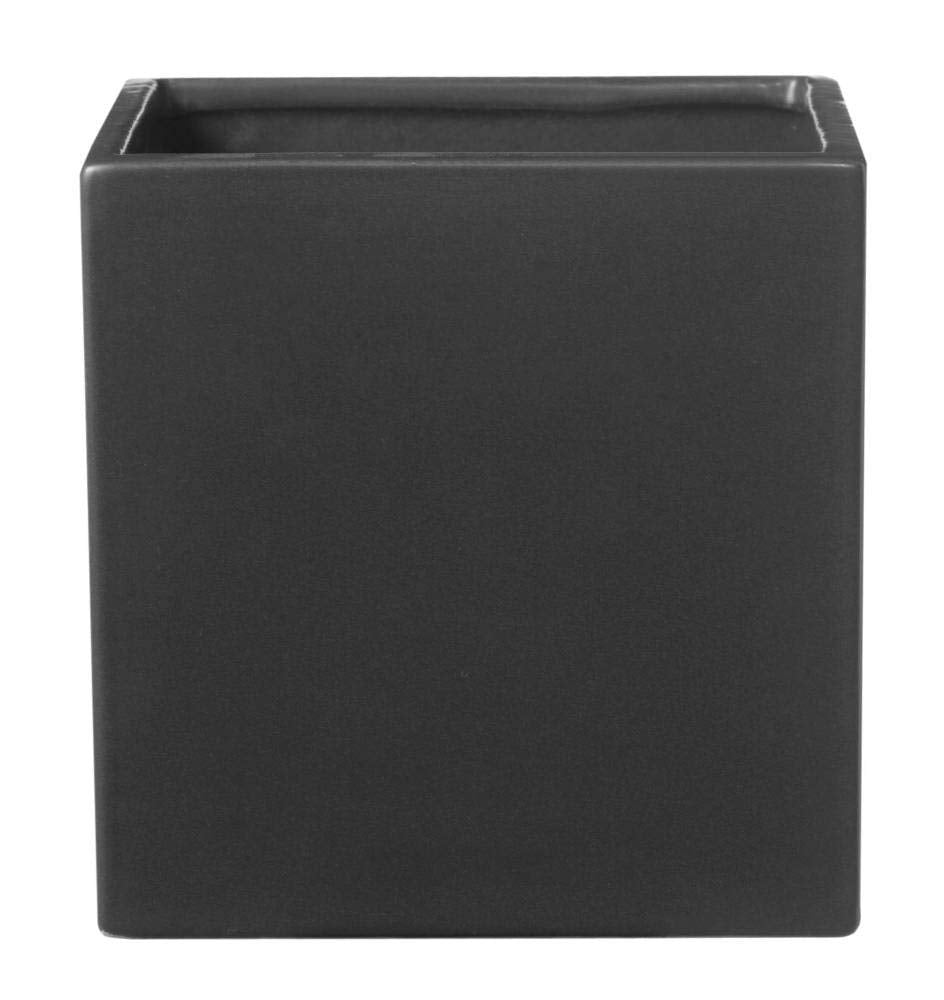 Heart-Shaped Hoya Kerrii – Live Succulent Plant Arrangement in Ceramic Pot