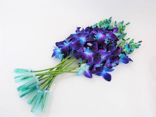 Dyed Blue Cut Dendrobium Orchids