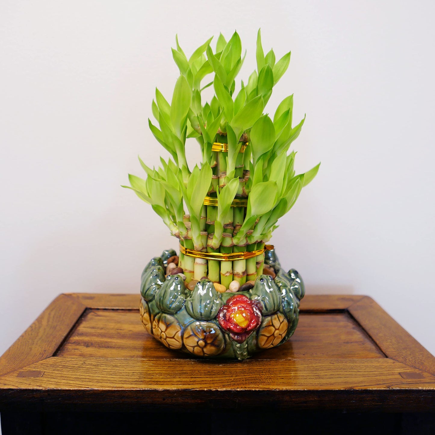 3-Tier Lucky Bamboo Plant Arrangement in Ceramic Animal Pot