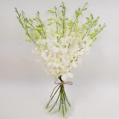 White Cut Dendrobium Orchids
