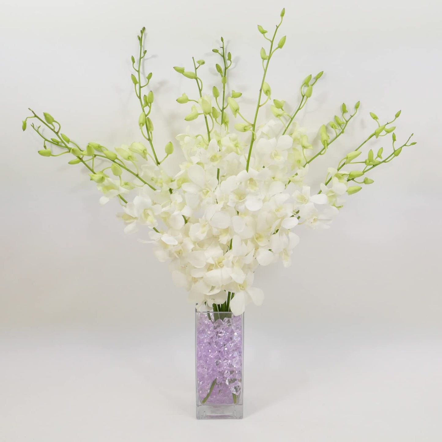 White Cut Dendrobium Orchids