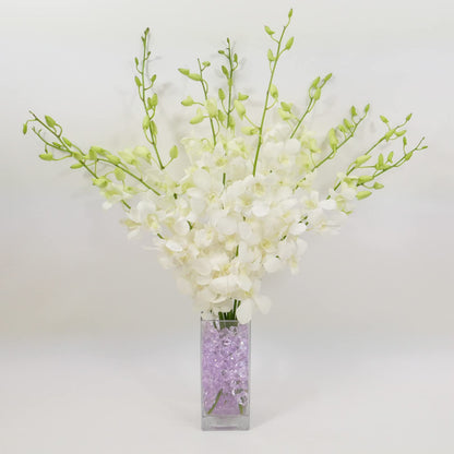 White Cut Dendrobium Orchids