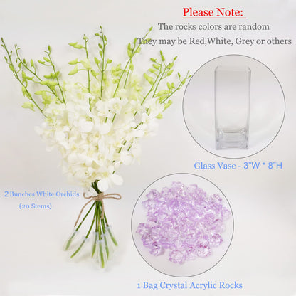 White Cut Dendrobium Orchids