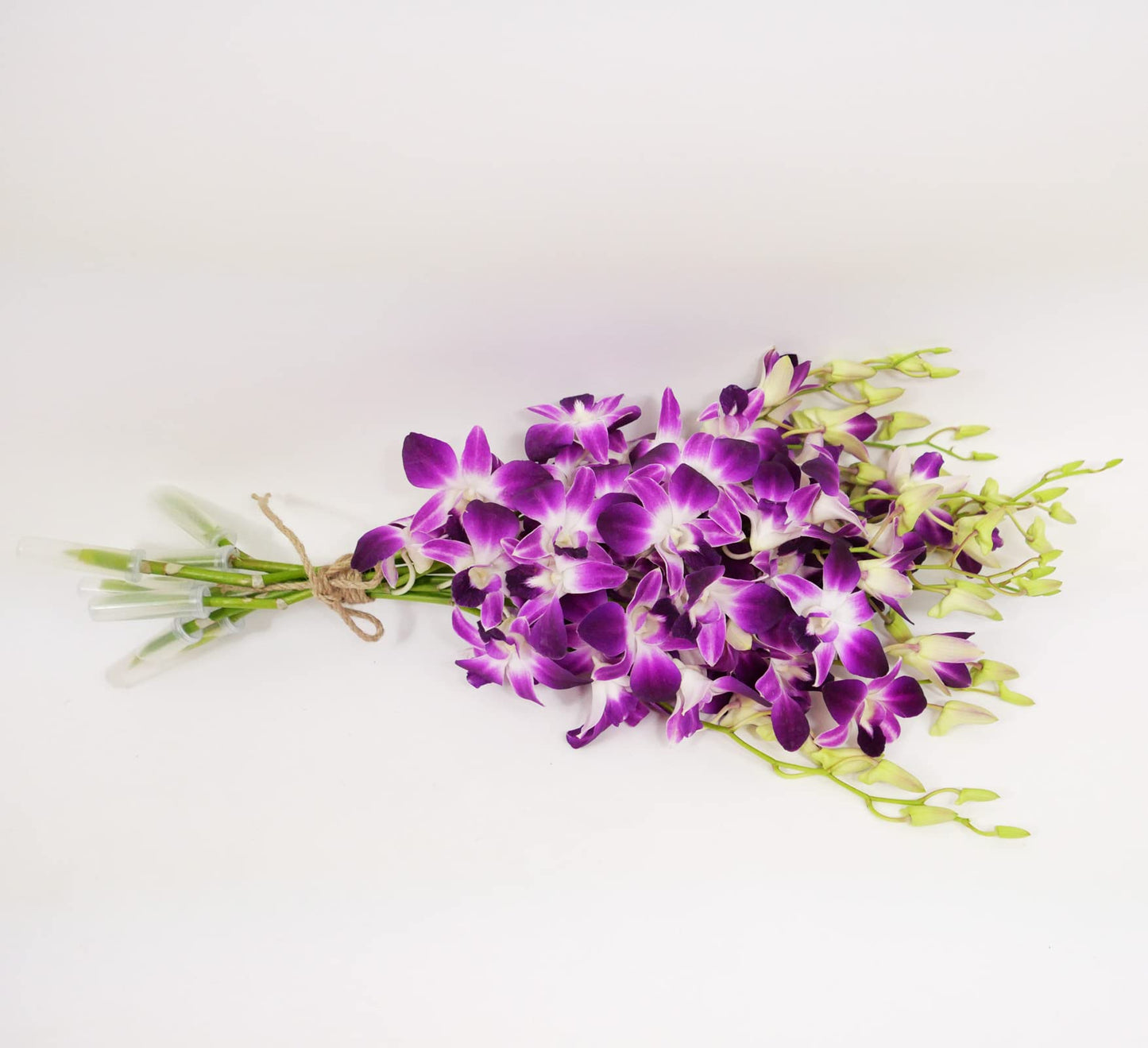 Sonia Cut Dendrobium Orchids