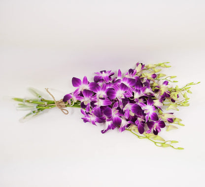 Sonia Cut Dendrobium Orchids