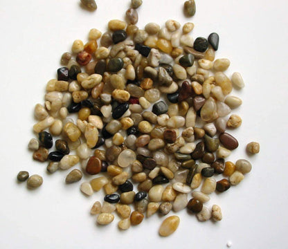 Heart-Shaped Hoya Kerrii – Live Succulent in Glass Apple Terrarium