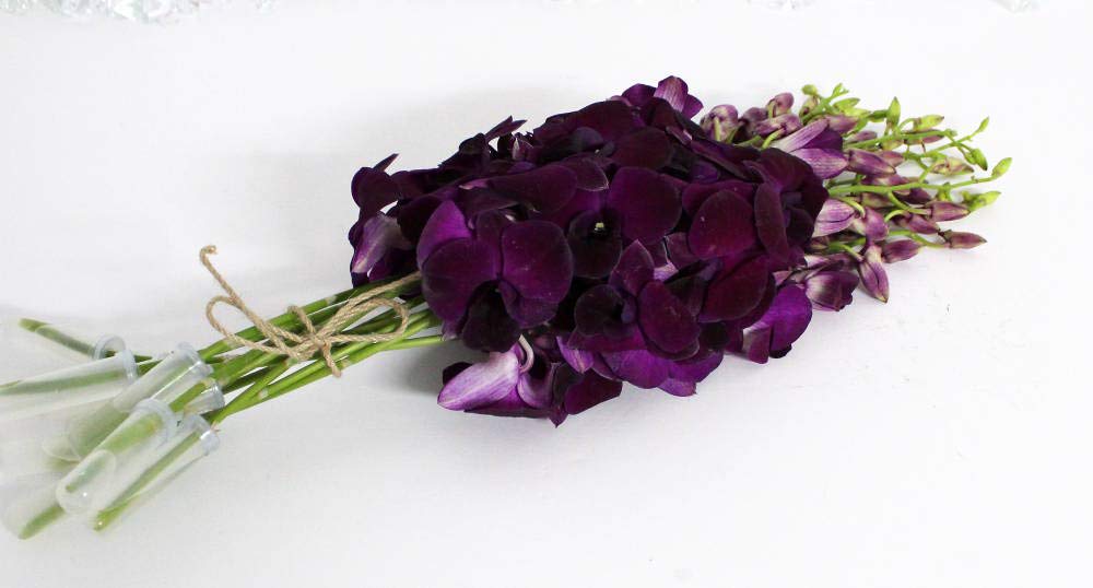 Mixed Box of Dendrobium Bunches (Purple, Green, White, and Dyed Blue)