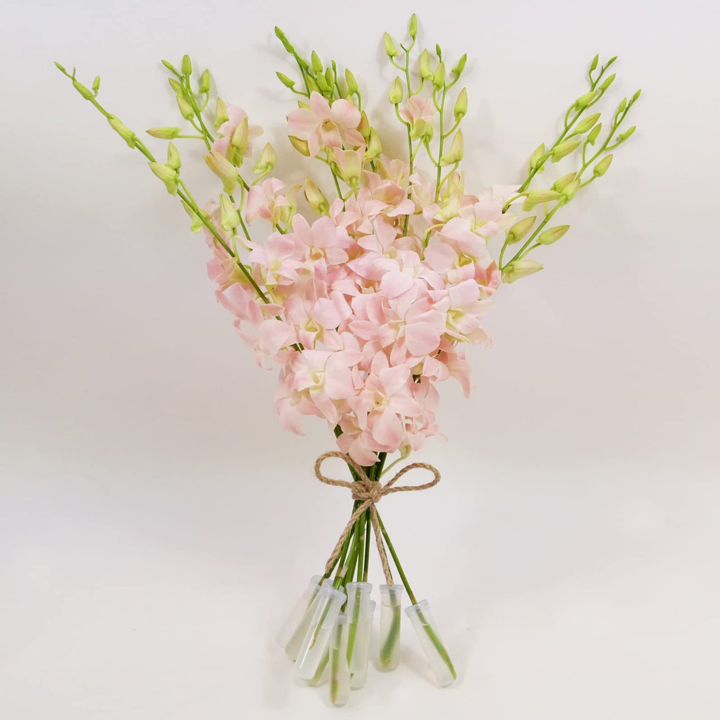 Jinda Sweet (Peachy Pink) Cut Dendrobium Orchids