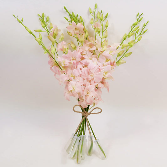 Jinda Sweet (Peachy Pink) Cut Dendrobium Orchids