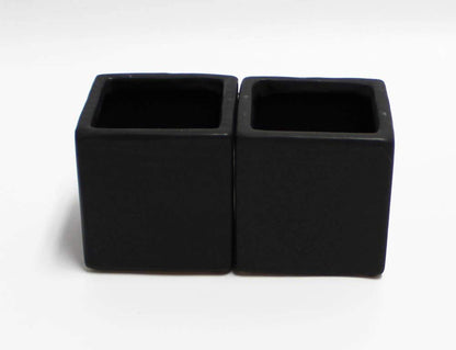 Live 2-Inch Assorted Succulent Set – Mini Potted Plants with Decorative Rocks (2, 3, or 5 Pack)