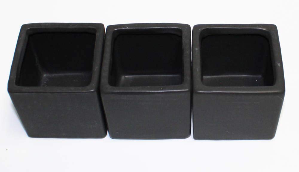 Live 2-Inch Assorted Succulent Set – Mini Potted Plants with Decorative Rocks (2, 3, or 5 Pack)