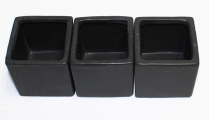 Live 2-Inch Assorted Succulent Set – Mini Potted Plants with Decorative Rocks (2, 3, or 5 Pack)