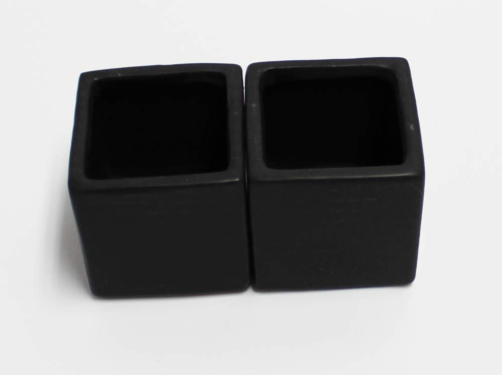 Live 2-Inch Assorted Succulent Set – Mini Potted Plants with Decorative Rocks (2, 3, or 5 Pack)