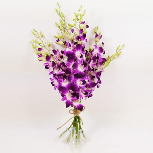 Sonia Cut Dendrobium Orchids