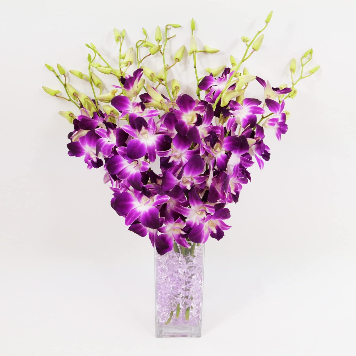 Sonia Cut Dendrobium Orchids