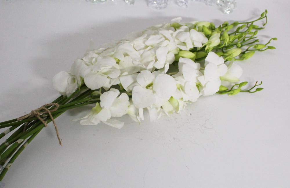 Mixed Box of Dendrobium Bunches (Purple, Green, White, and Dyed Blue)